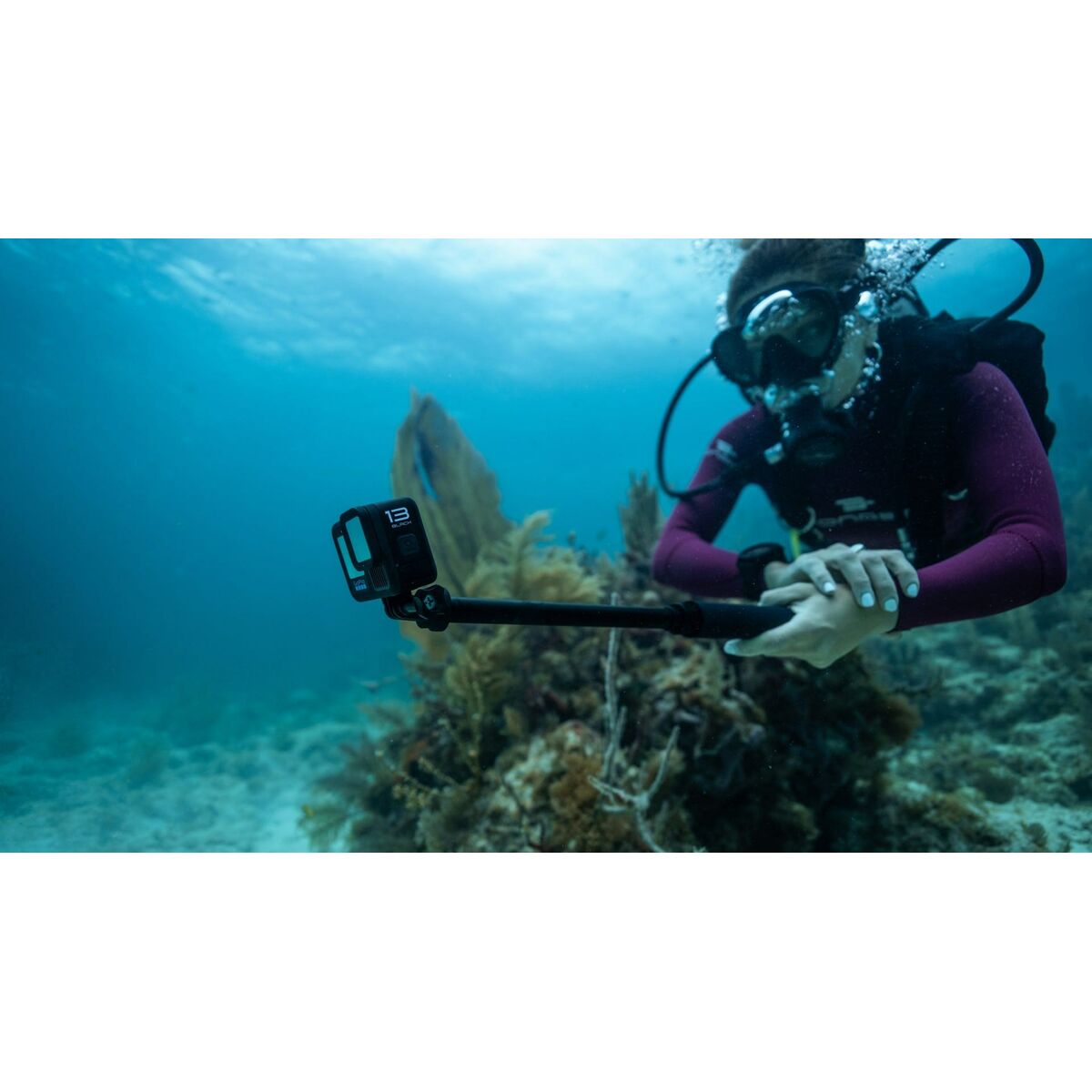 V7H4AEA7D7B766A0FD768FA484267EE4619R6606661P5