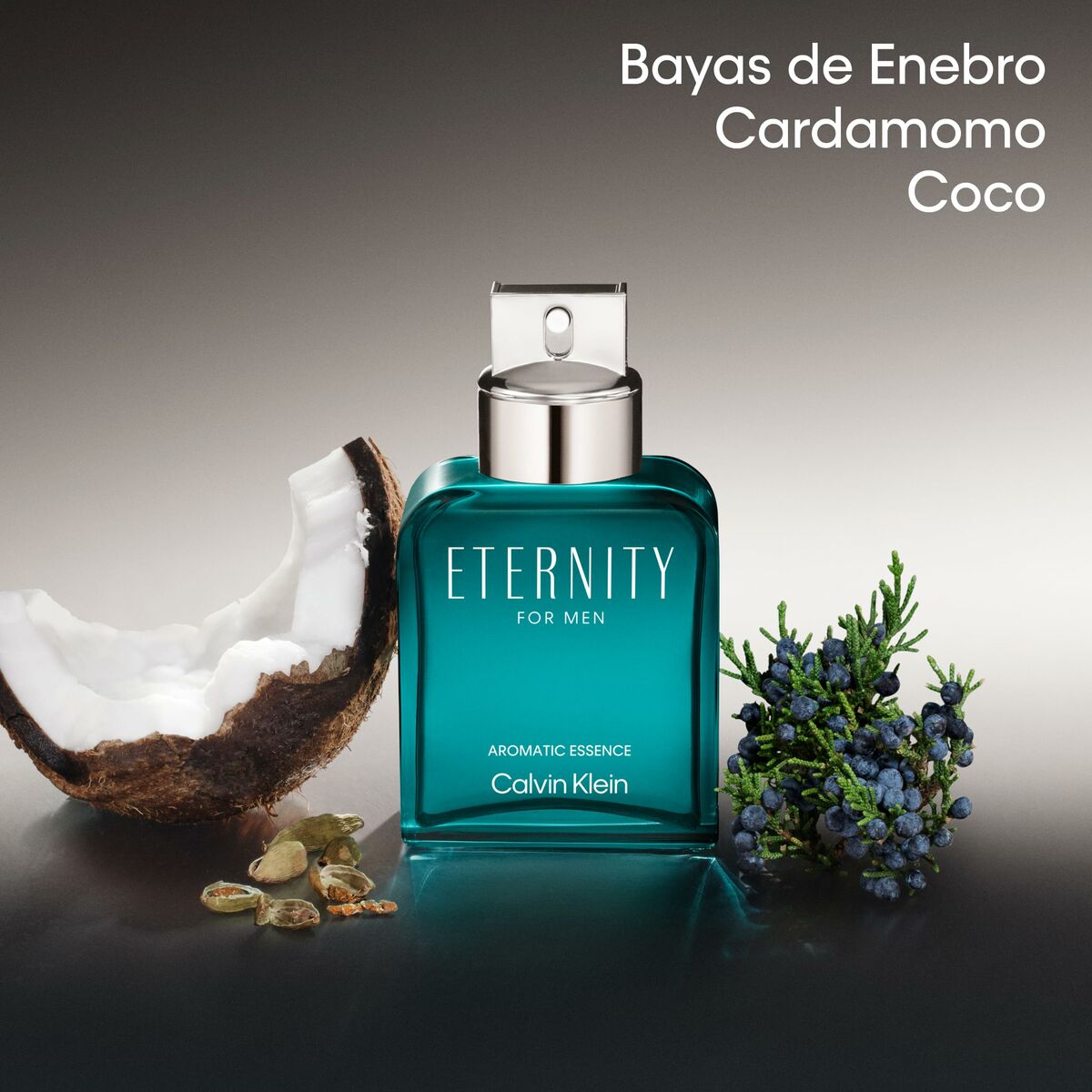 V1HB872B5C5845C49B1474283E22614E481RP5