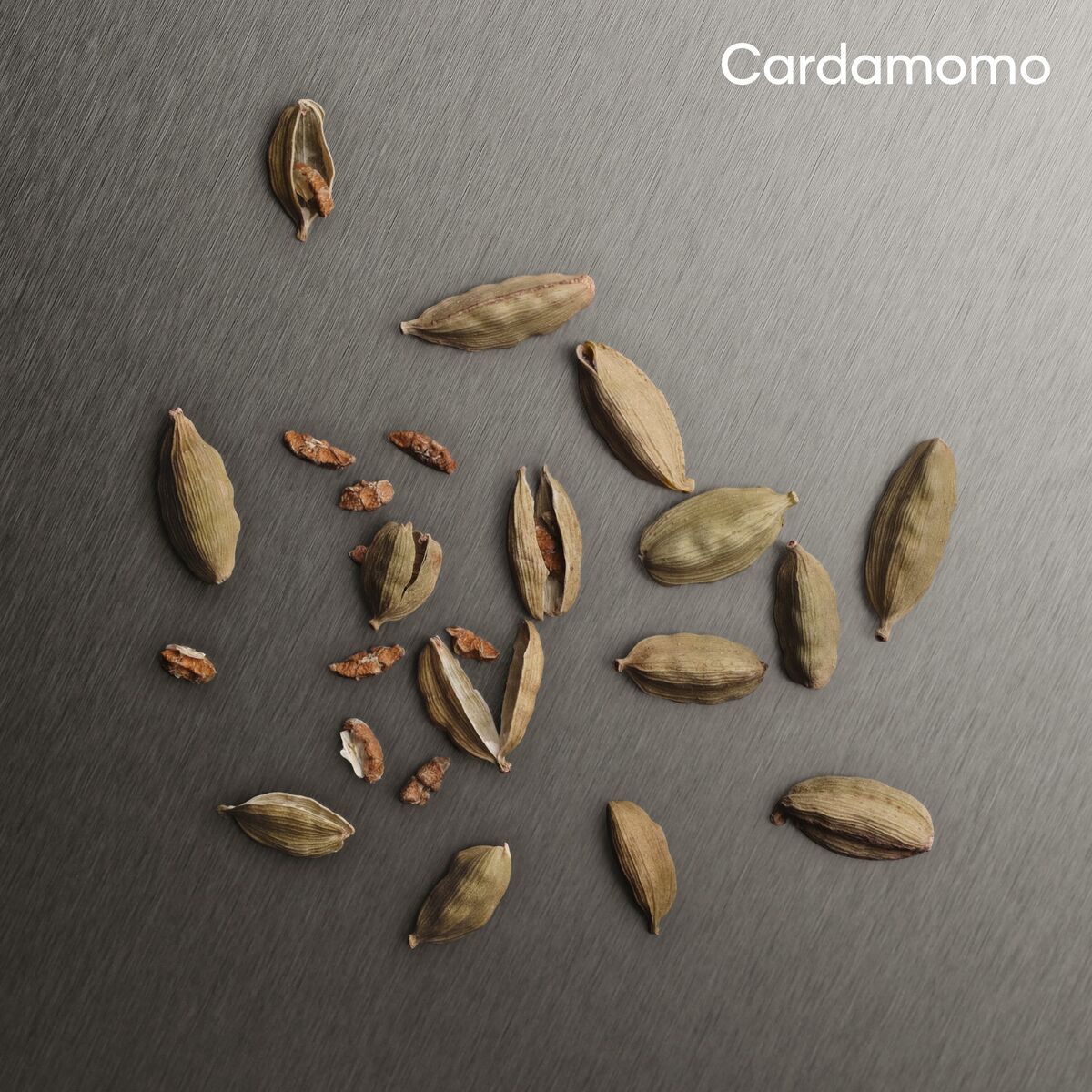 V1H513331A7E9A9EFD58B5CCC5EFFB20F2FRP7