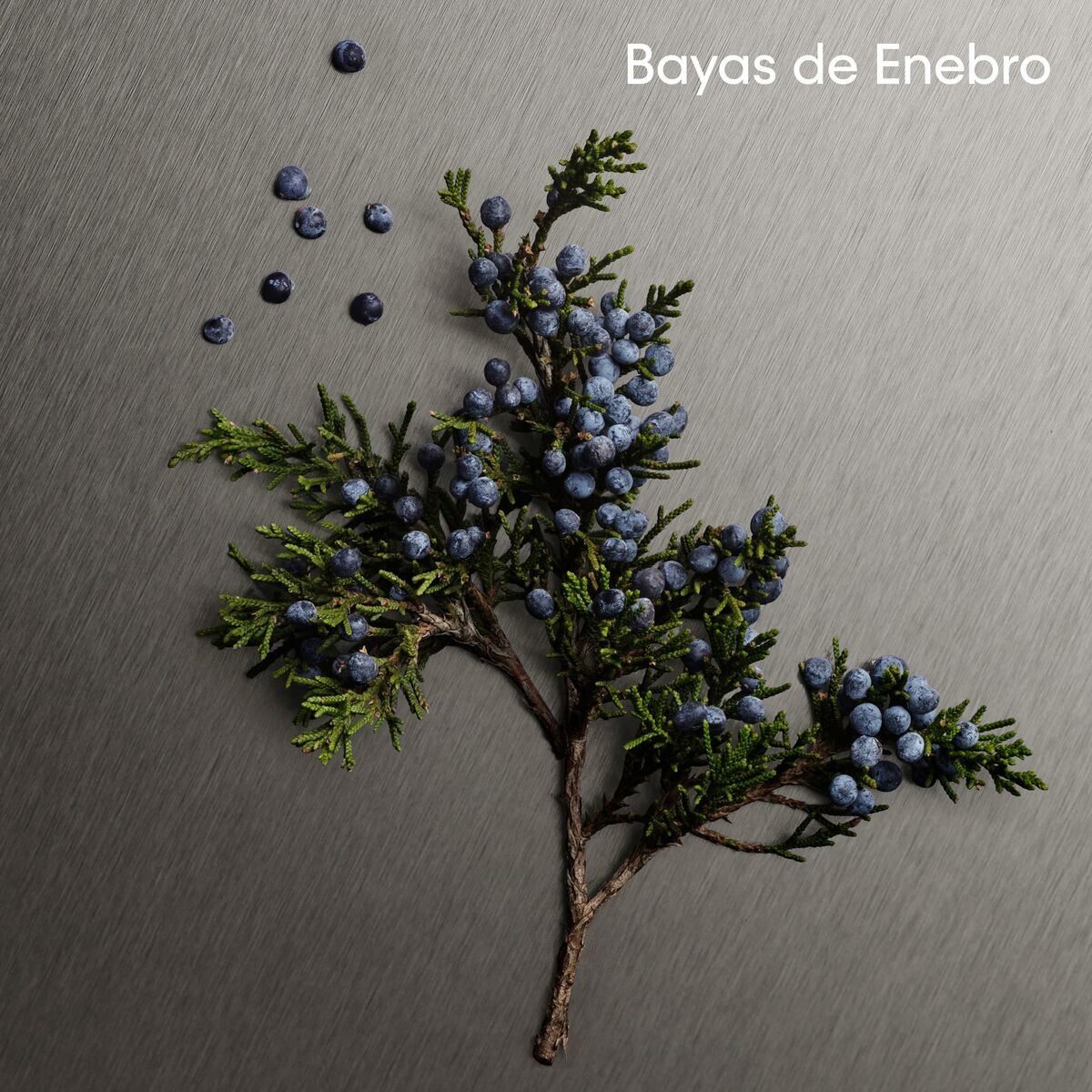 V1HBCECC4D5B2907CB9DCFBA52DEF8C2B98RP9