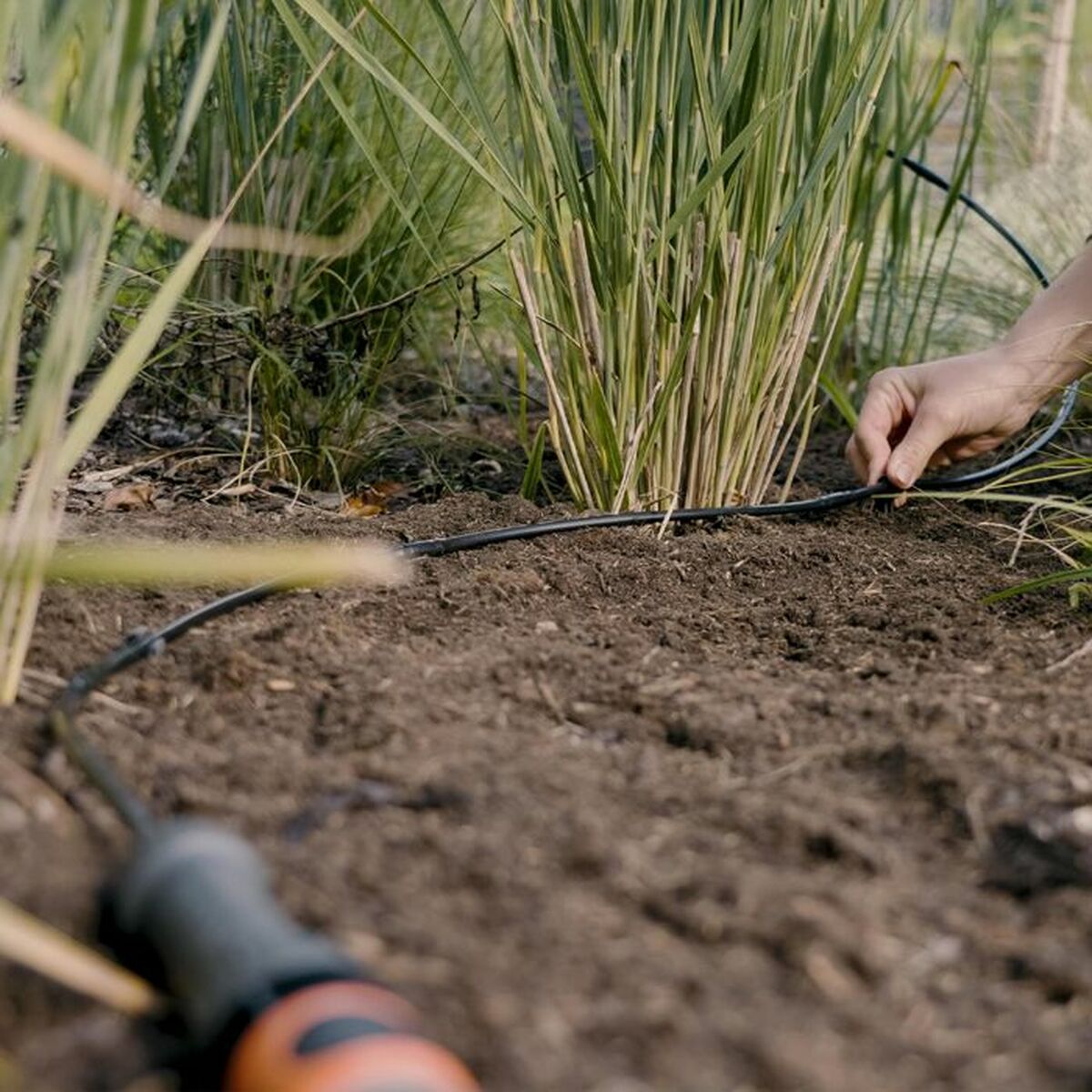 V4H8F6BBE86D8F2DBD9946050D5A0431DBDR7162883P3