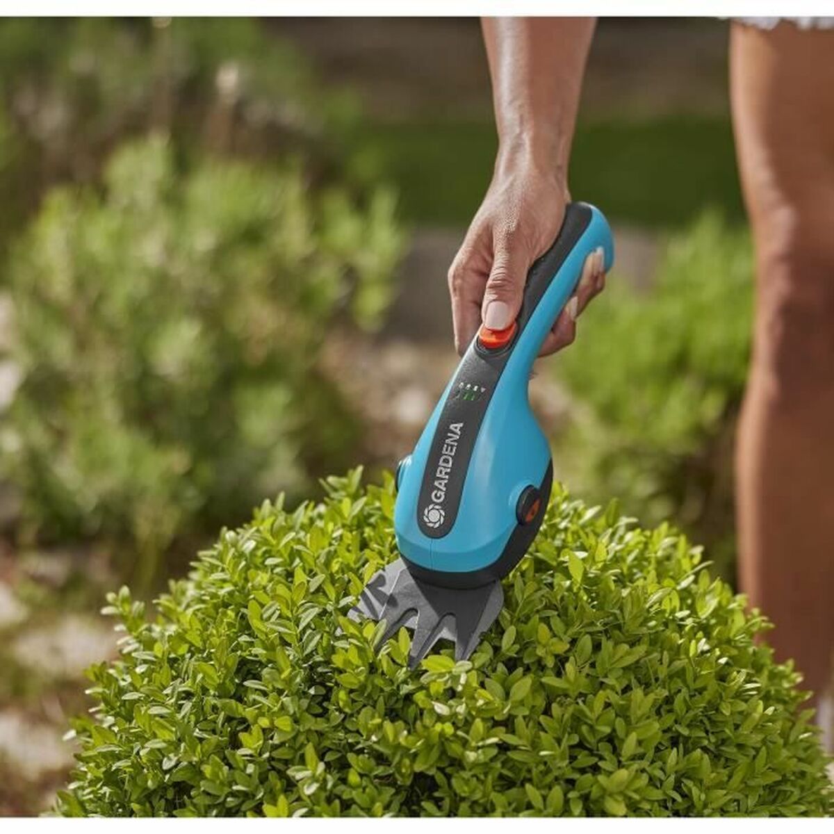 V8H823E1943E1ED61487FDD27FB91979817R6180039P8