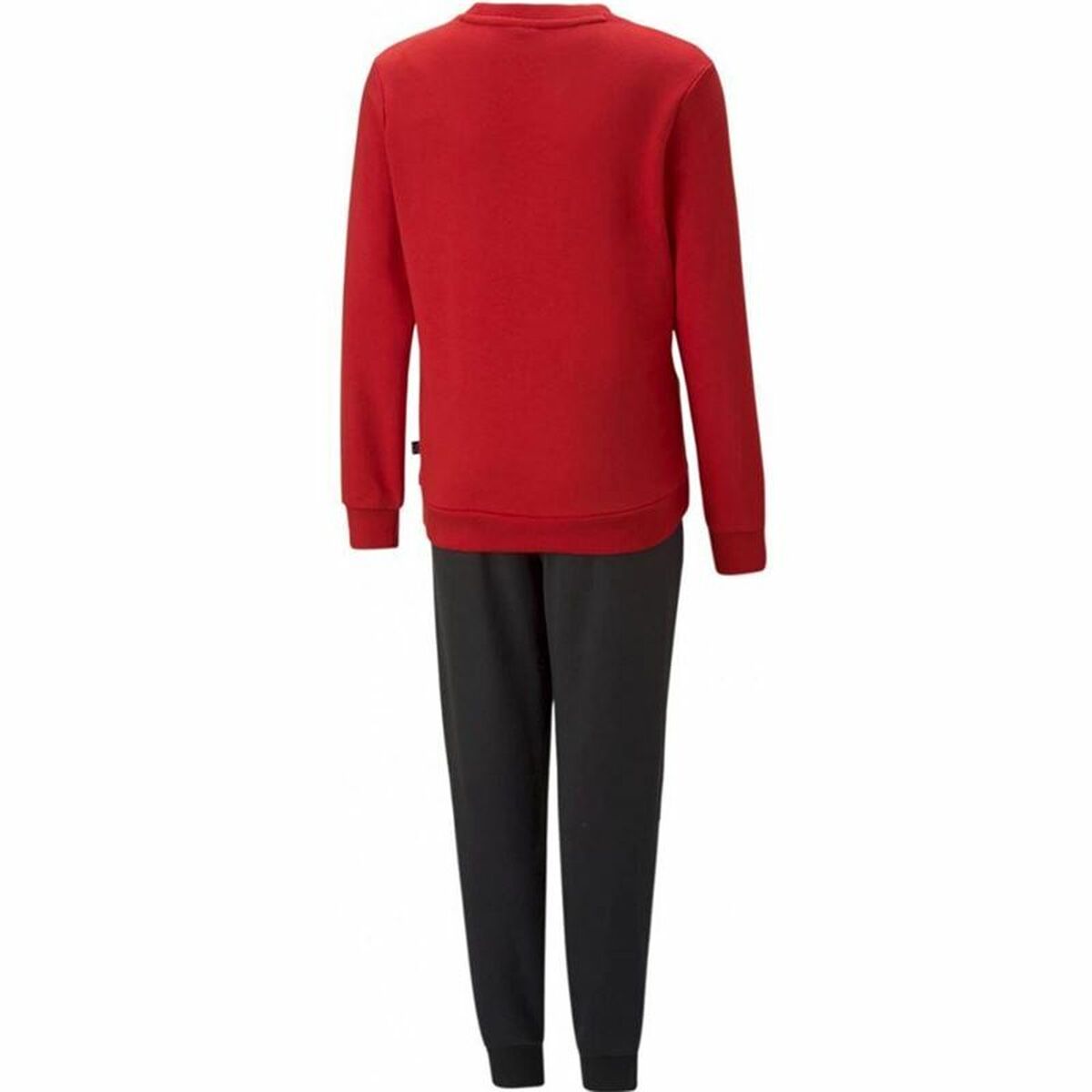 V4H6C03A7AD1EC8E5A3345490D1D3ED8DD1R5532418P2