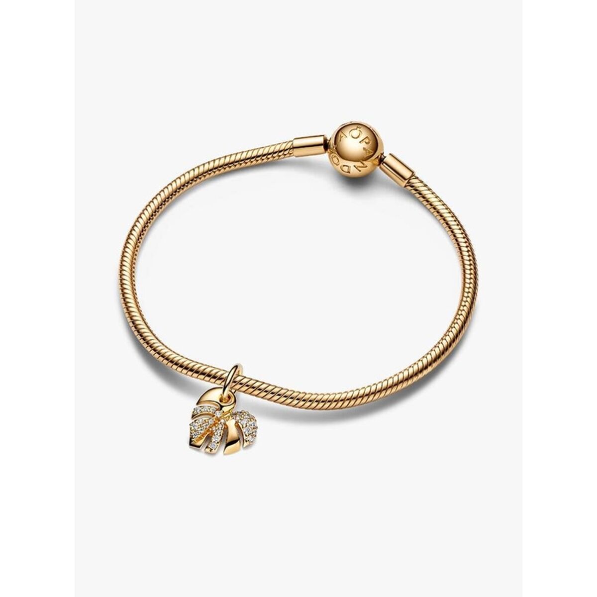 V2H13B7F6F0E4F6C832483ED633928721C2R7590125P6