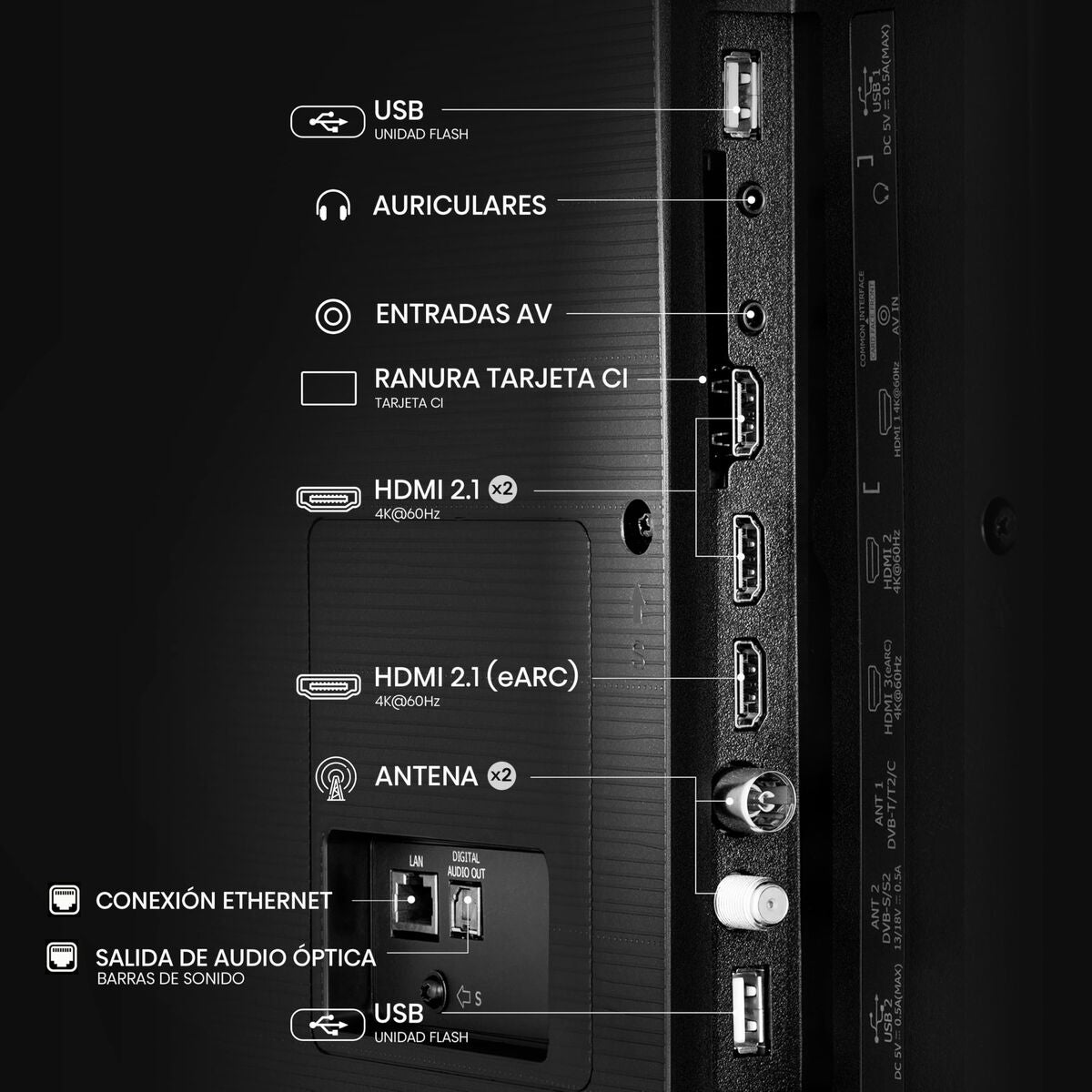 V1HEE7874CD335509B699F6B312957F2EA2RP6