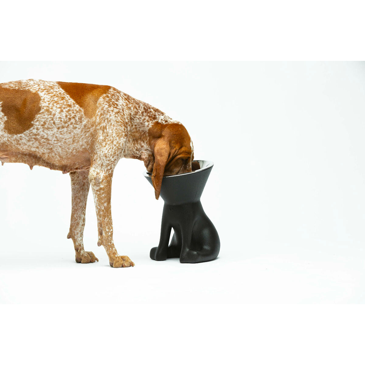 V5HFB260A8BF788F7D70D0ED332E9185FFAR5582529P5