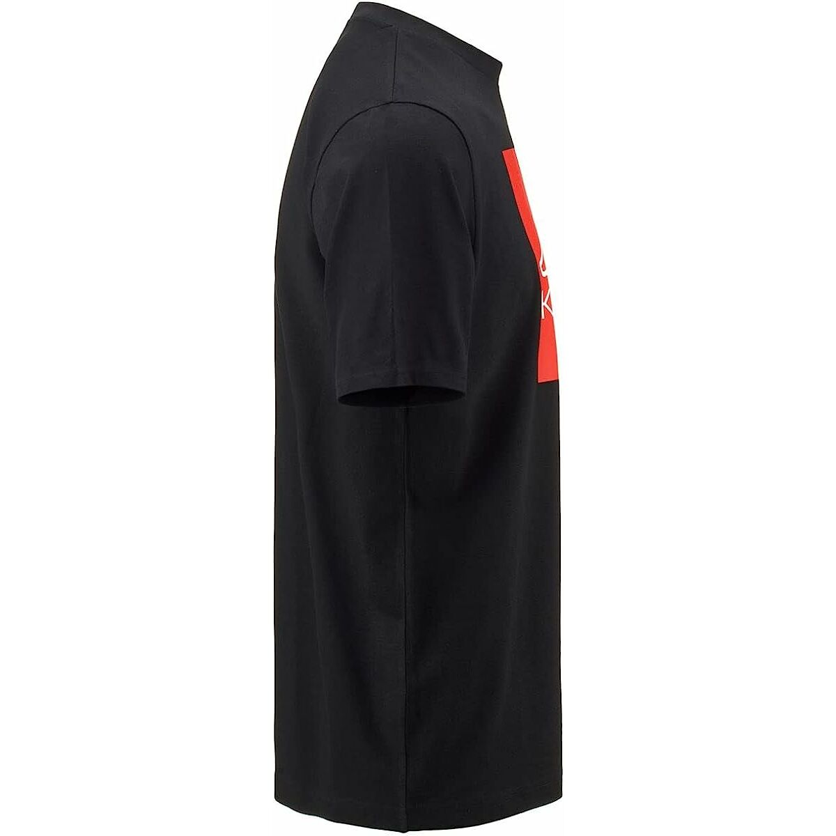 V8HF3A01FFF0AA7FEE65972483257C5C2FER4745728P5