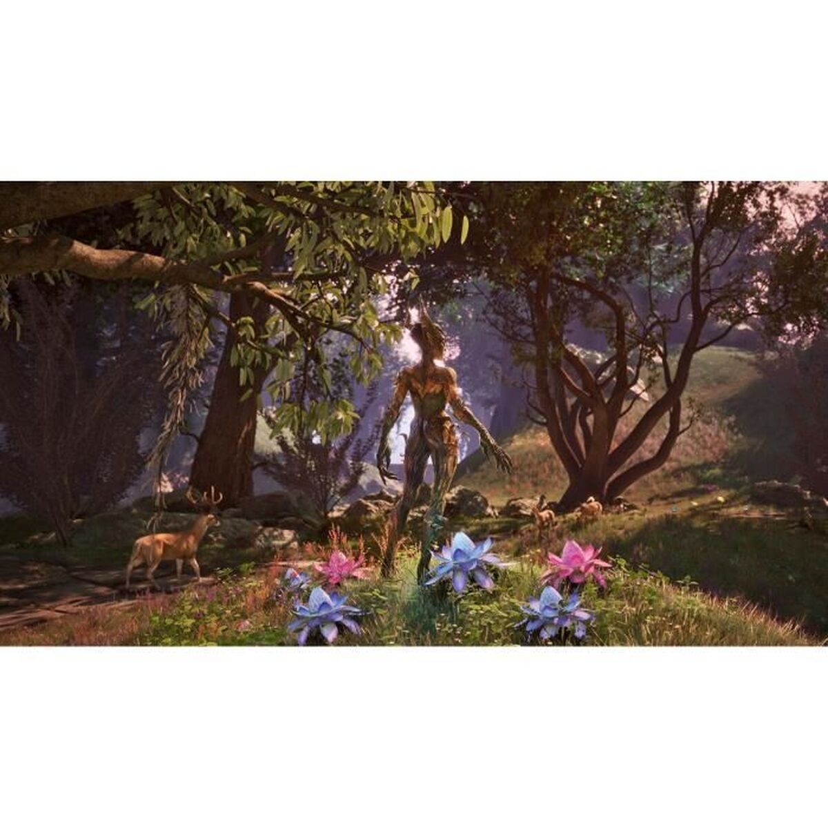 V1H85C305199DD4A5A43EE2B608B05E05A1RP5