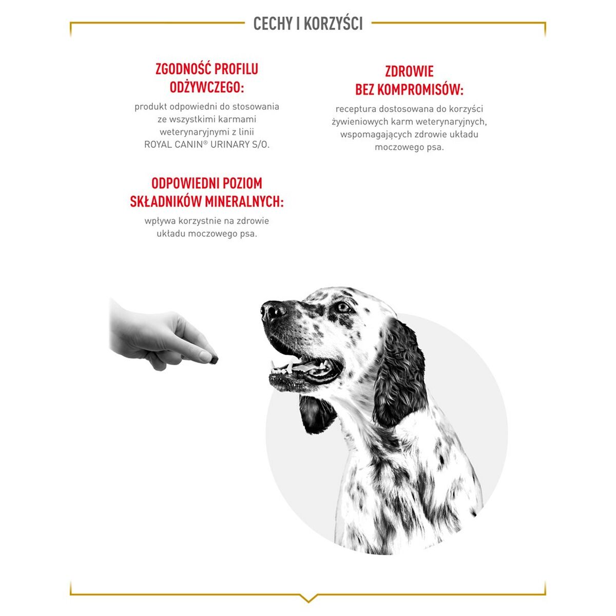 V3HDA404A04B5A51F8E3A391B4E7C67A72DR5624726P9