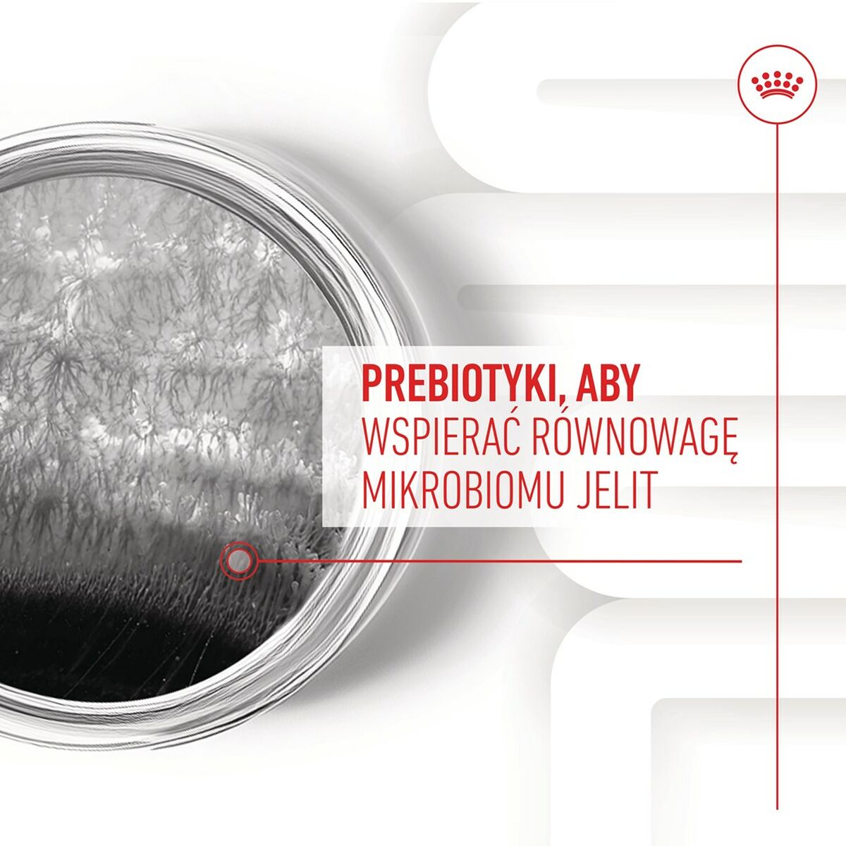 V3H0EF95C552E76EDF64FCEFF4AE47DD9F0R5624718P9