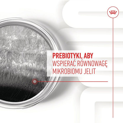 V3H0EF95C552E76EDF64FCEFF4AE47DD9F0R5624718P9