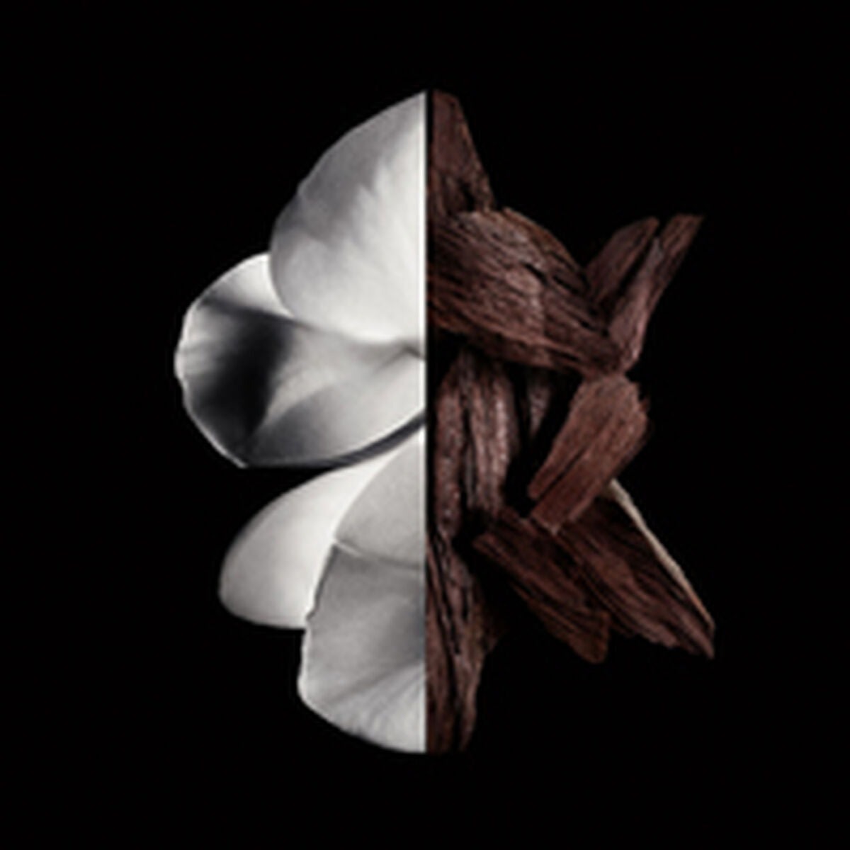 V3H46E471AB8BD8CF775675784443227F89R6237559P3