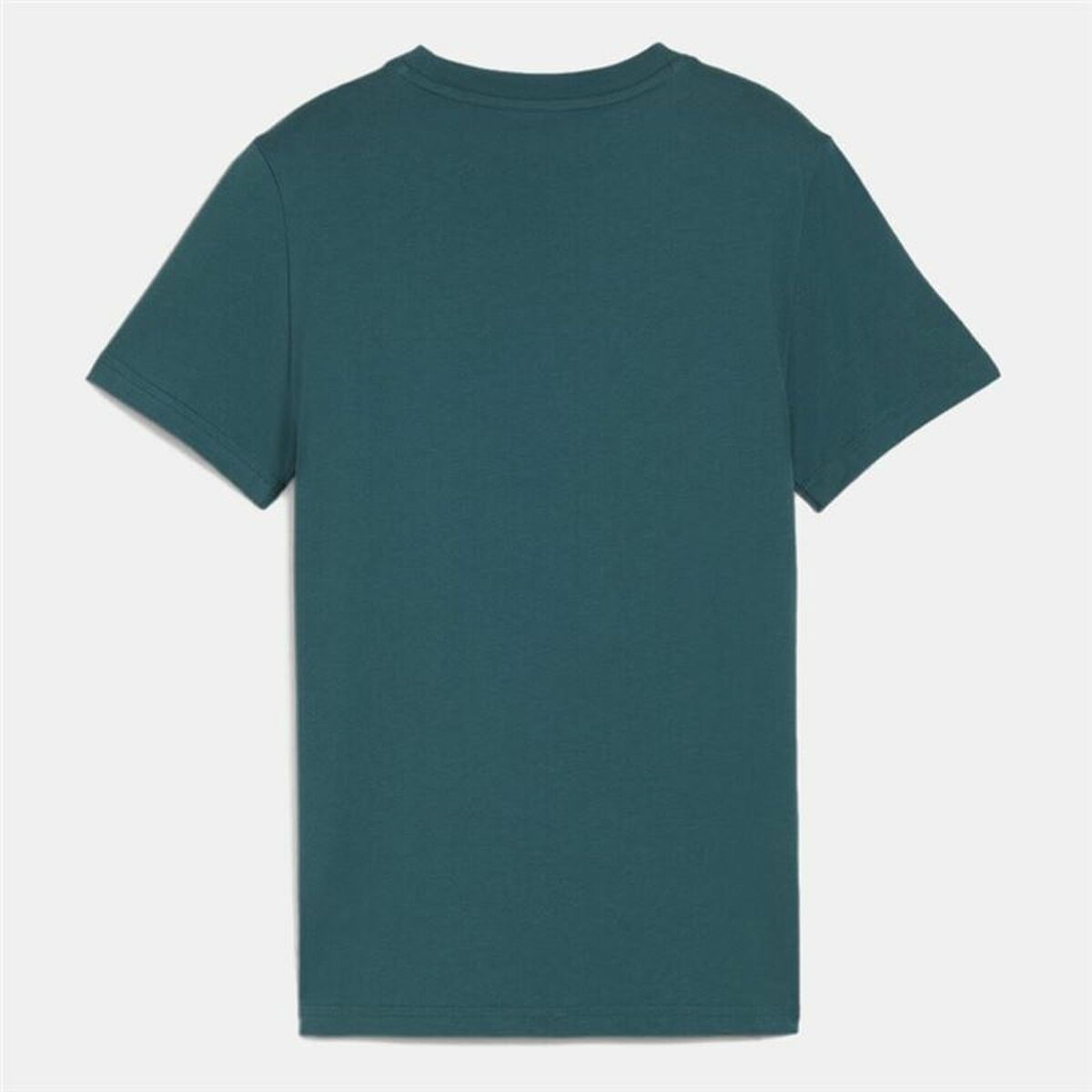 V5H111083FE28035883619D696A3EF96341R5464314P2