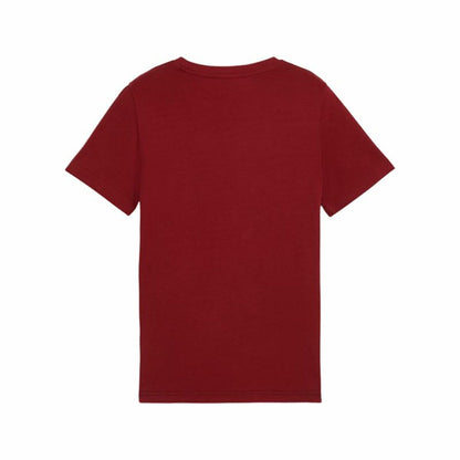 V5H42F9541B7963C661A63B0D7BD978ECD1R5464184P2