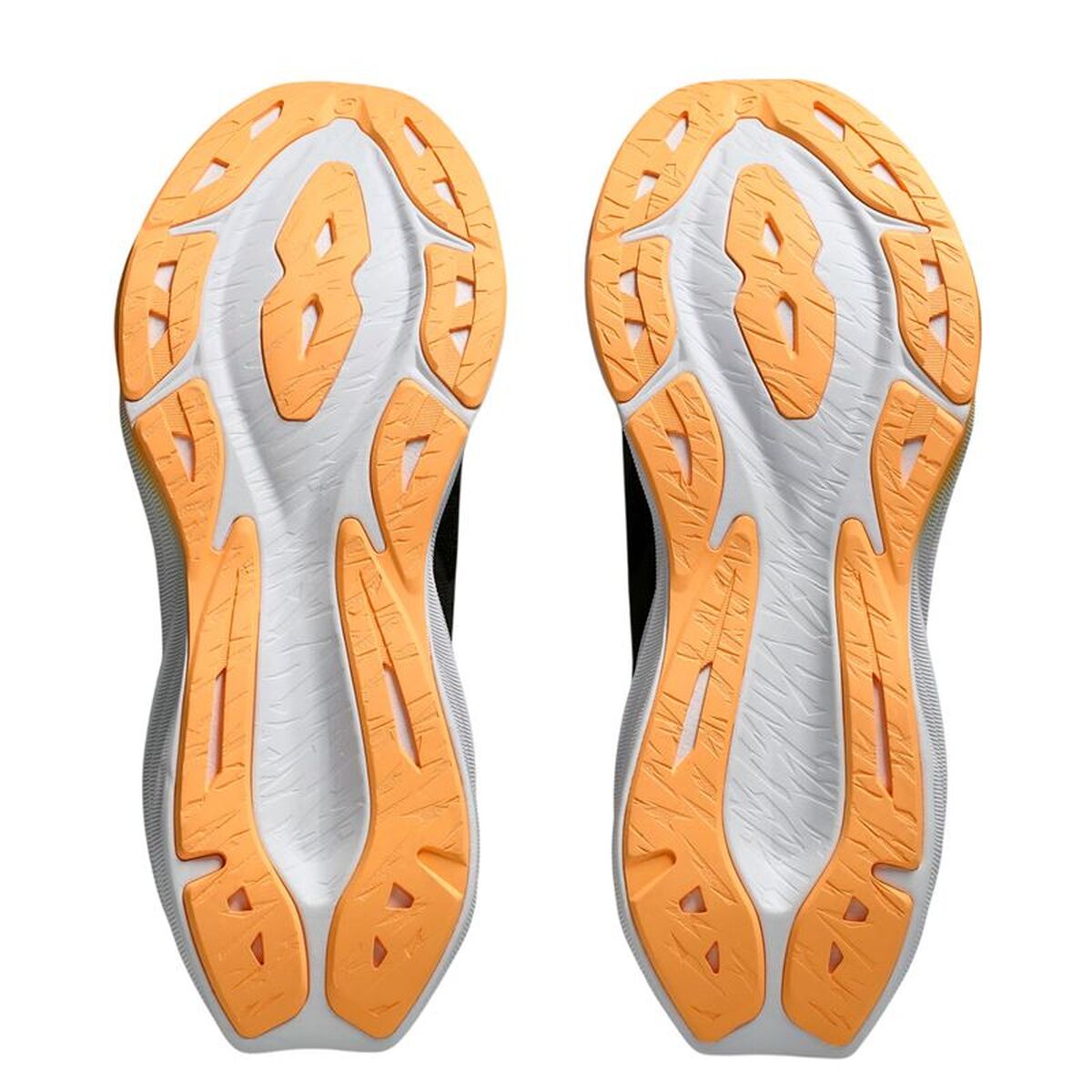 V2H48AE4D250C2EE5C1BAB7FFFE2E1240EBR7583746P3