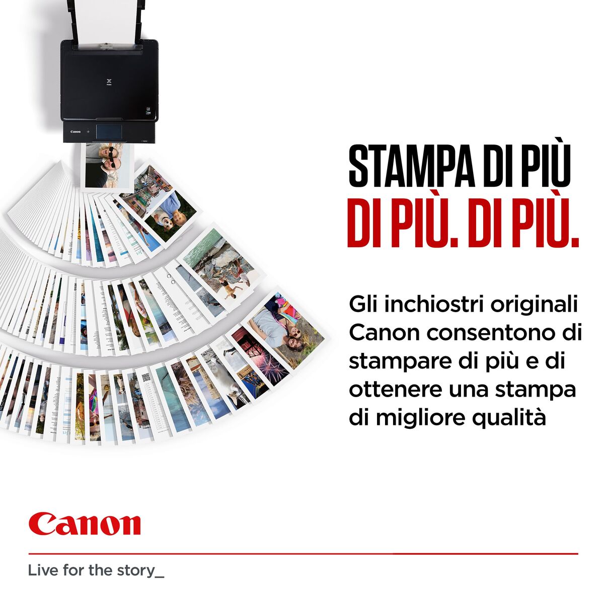 V2H85FCCA65AF89BBEF95D740C48B737973R7427959P9